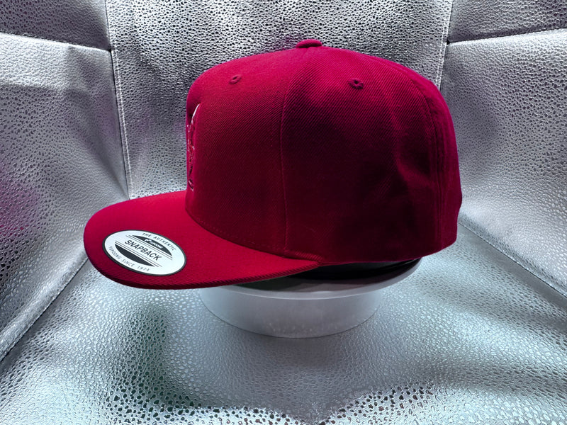 “EMBER” Snapback Hat